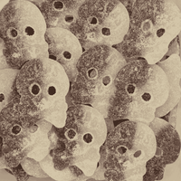 BUBS Cola Skull