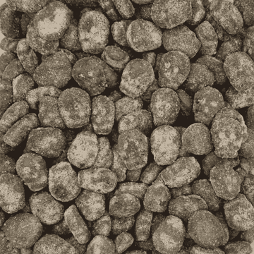 Salty Licorice Foam Skulls