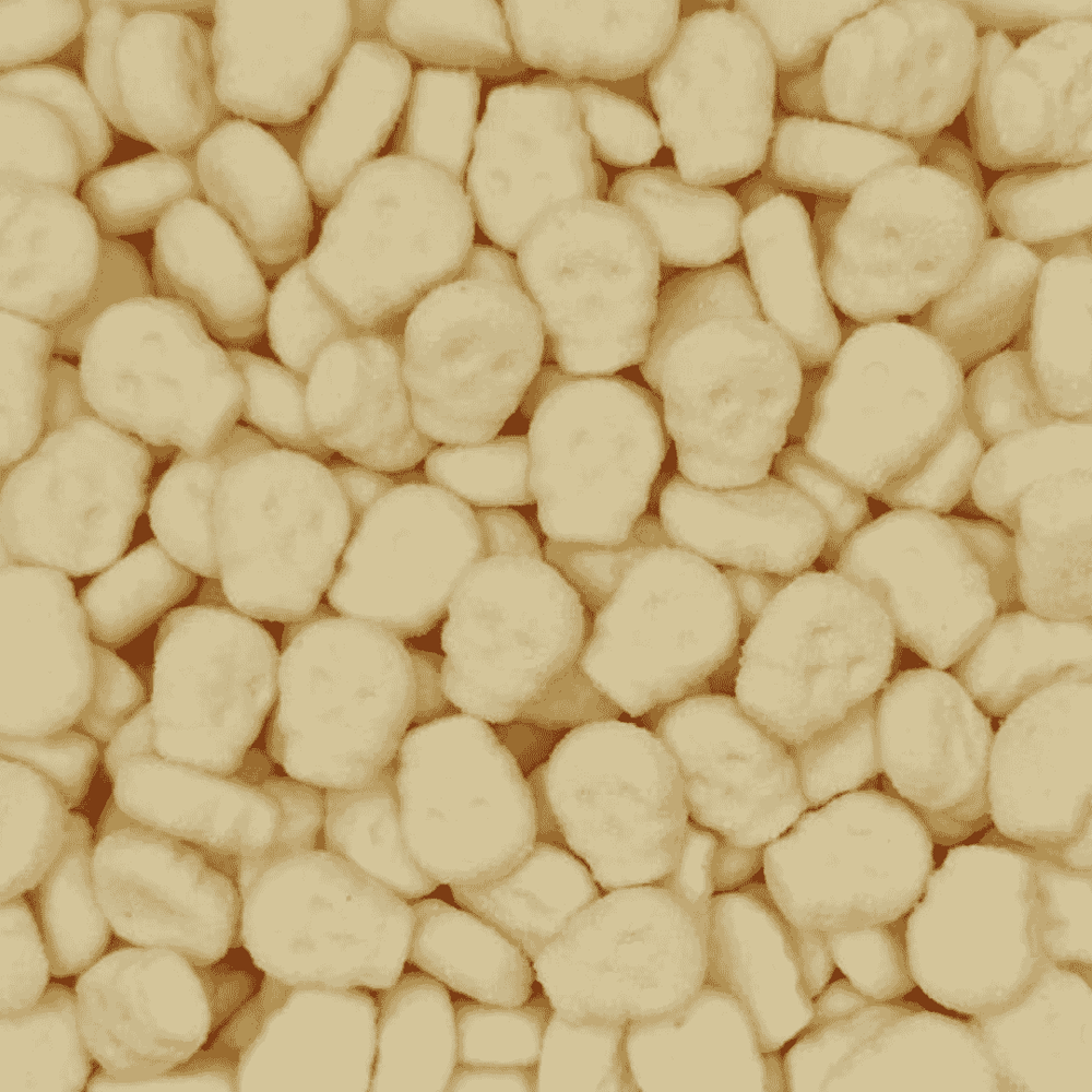 Tropical Foam Skulls
