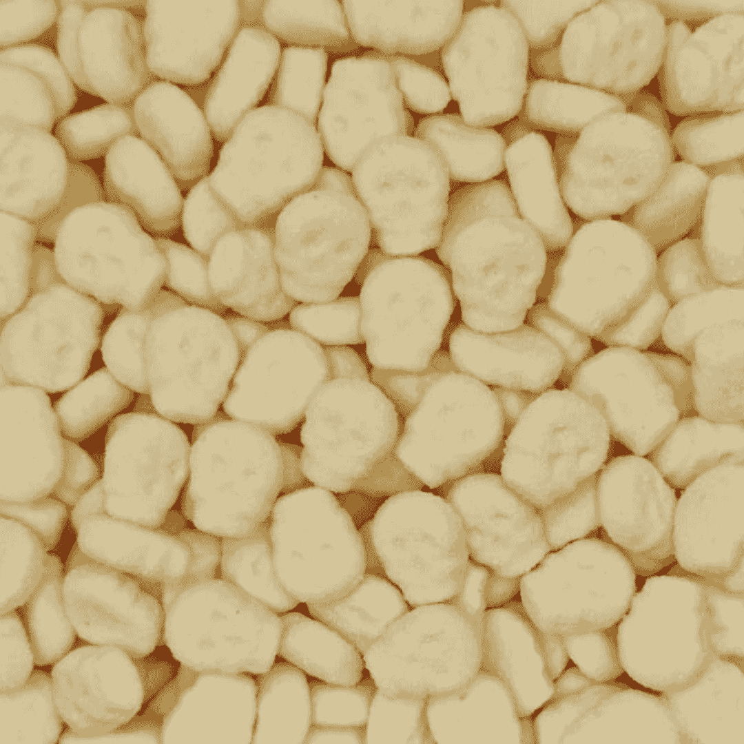 Tropical Foam Skulls