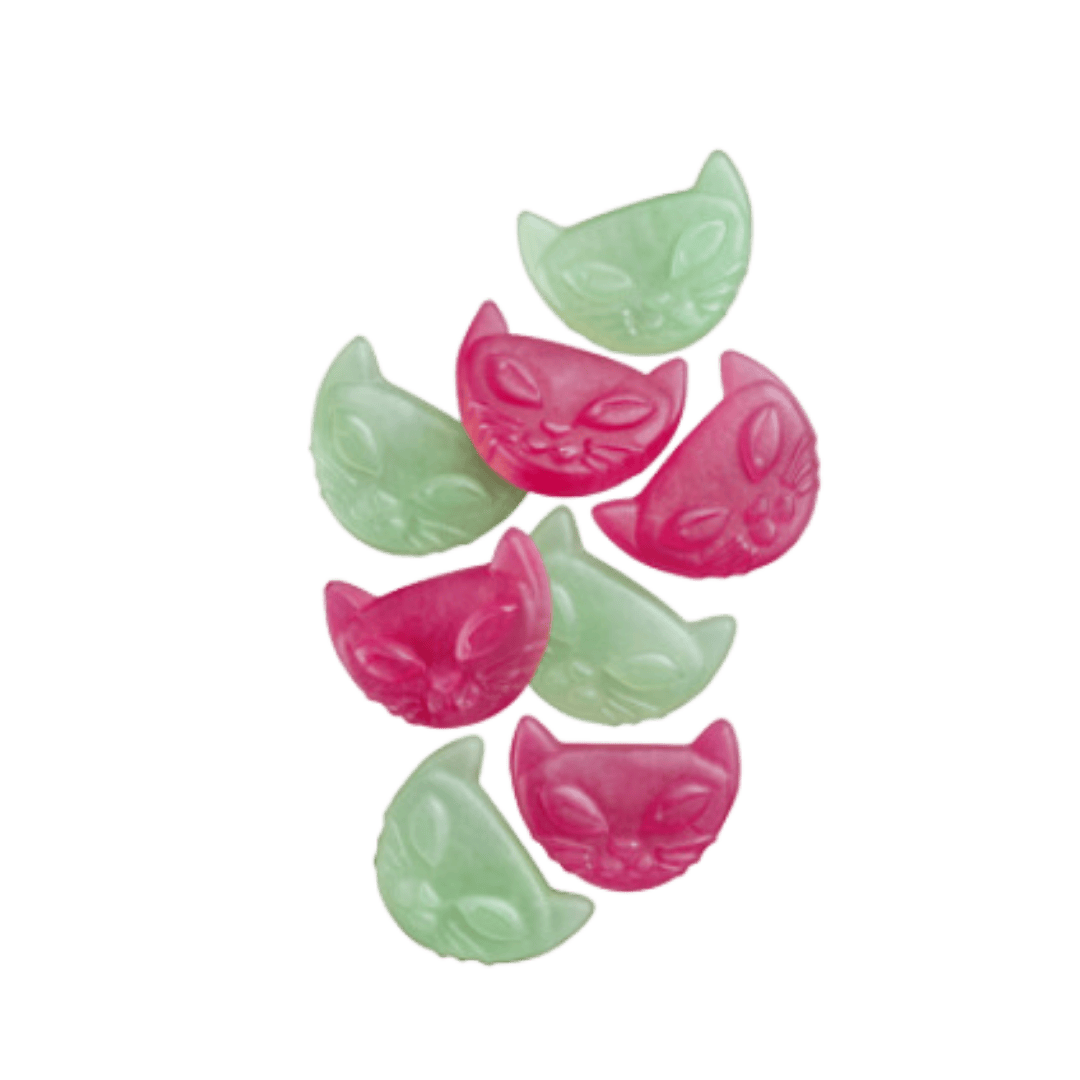 Sweet Cat Candy  50 g (1.76 oz) scoop