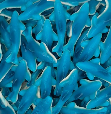 Swedish Blue sharks