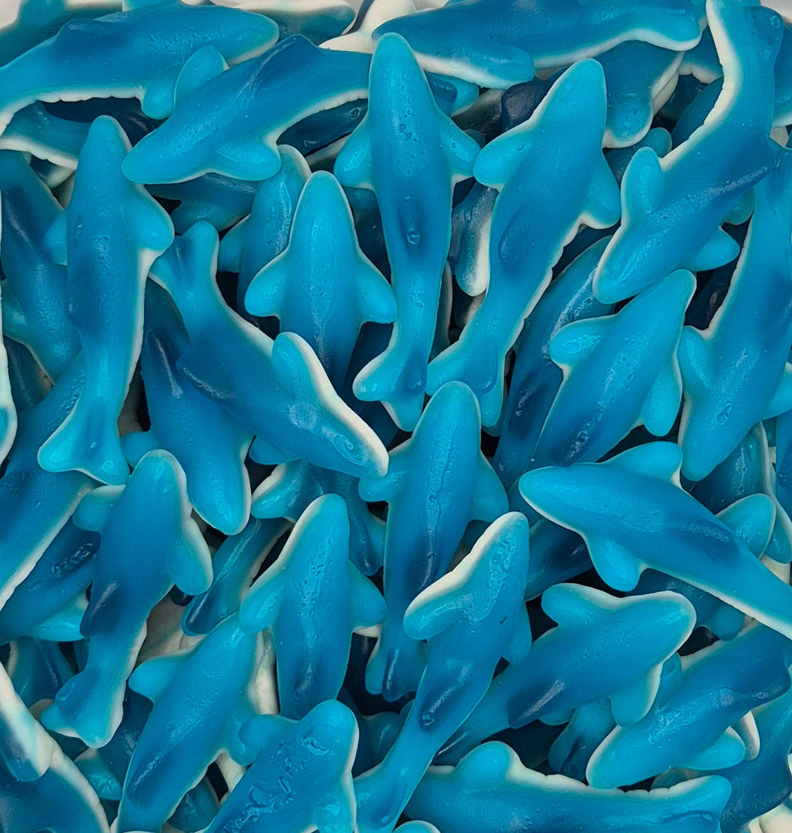 Swedish Blue sharks