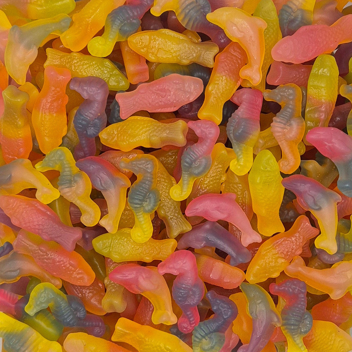 Rainbow Sea 50g